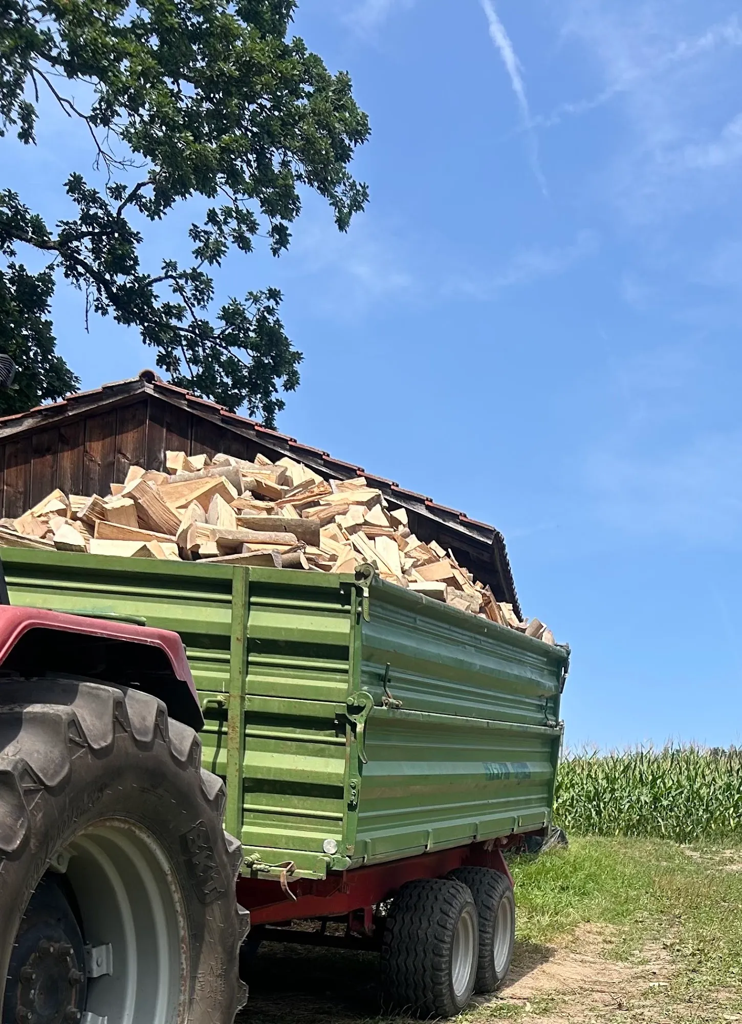 Grüner Anhänger voll beladen mit gespaltenem Brennholz