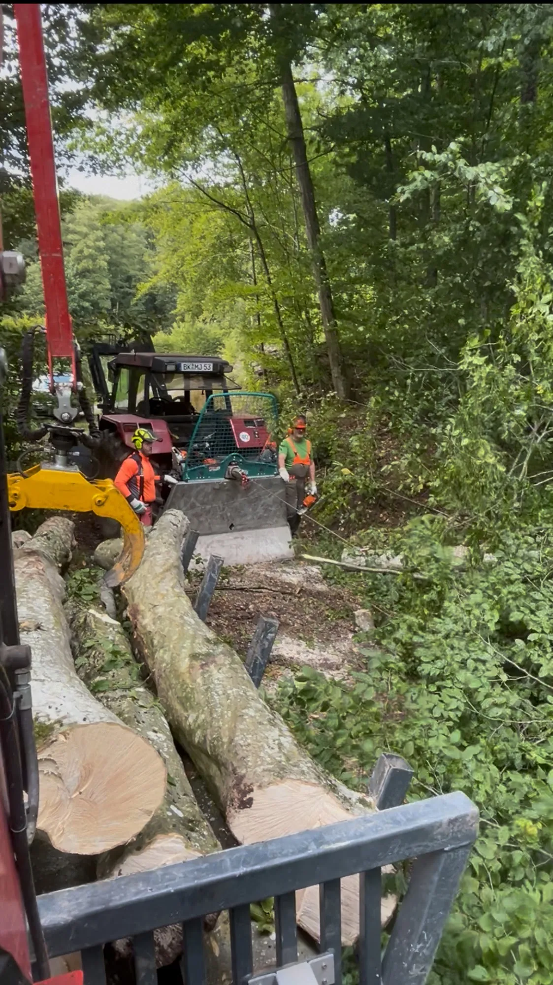 Forstarbeiter mit Traktor und Seilwinde im Wald