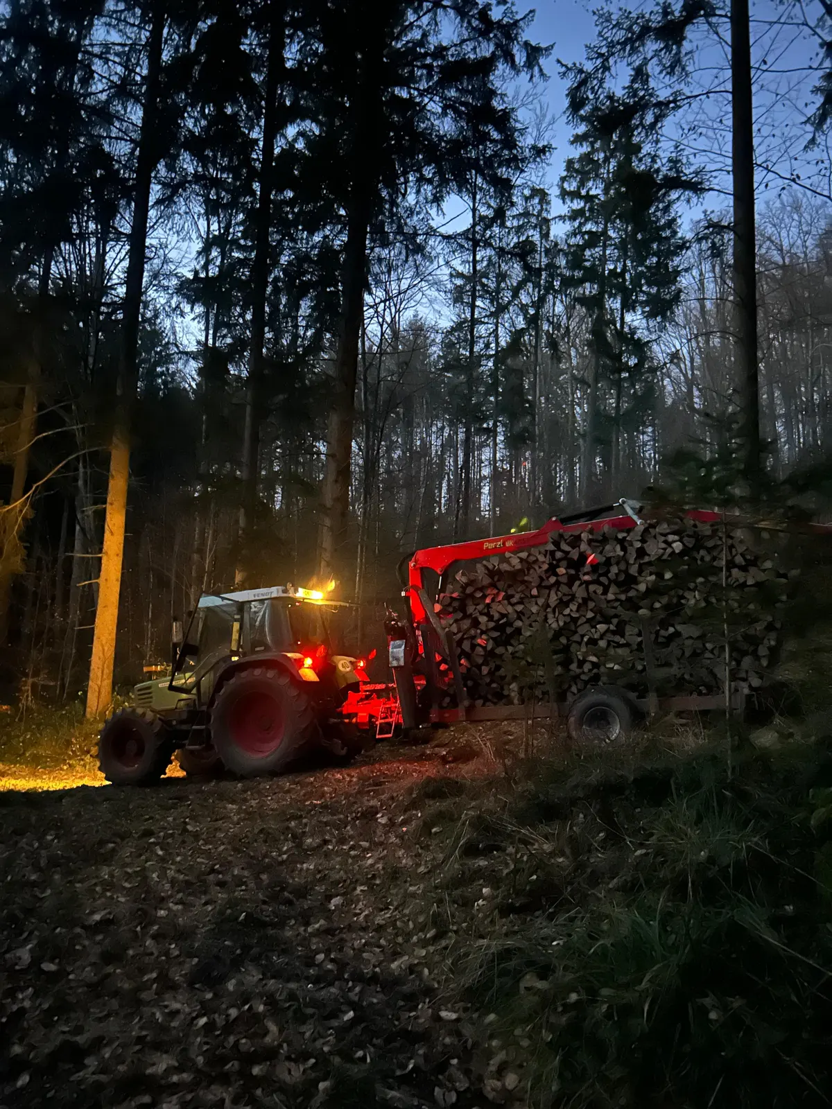 Traktor mit beladenem Rückewagen auf dem Waldweg in der Dämmerung